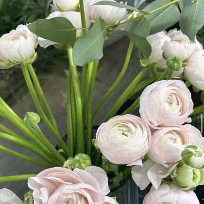 Ranunculus Flowers