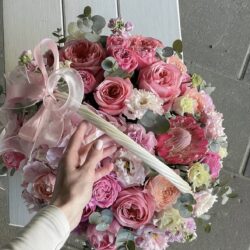 Mix of beauty