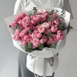 Bloom